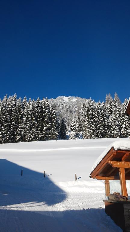 Apartment Knablhof Sankt Martin am Tennengebirge Rom bilde