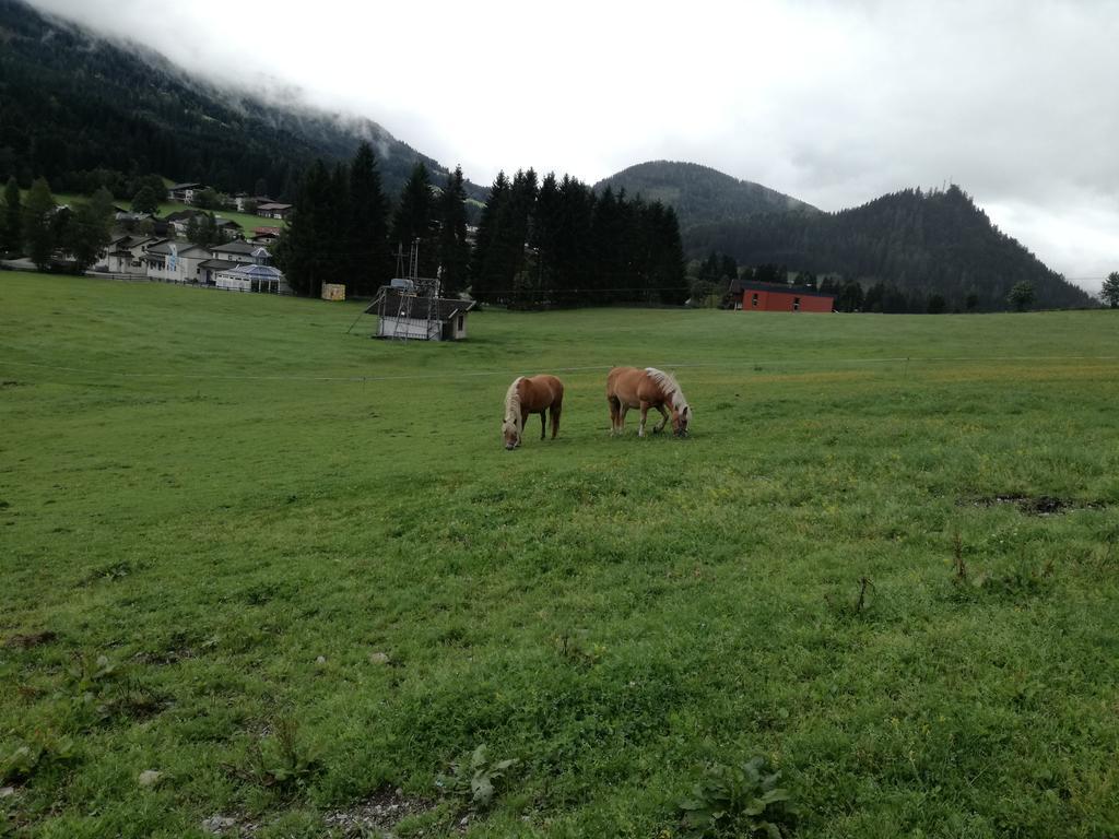 Apartment Knablhof Sankt Martin am Tennengebirge Eksteriør bilde